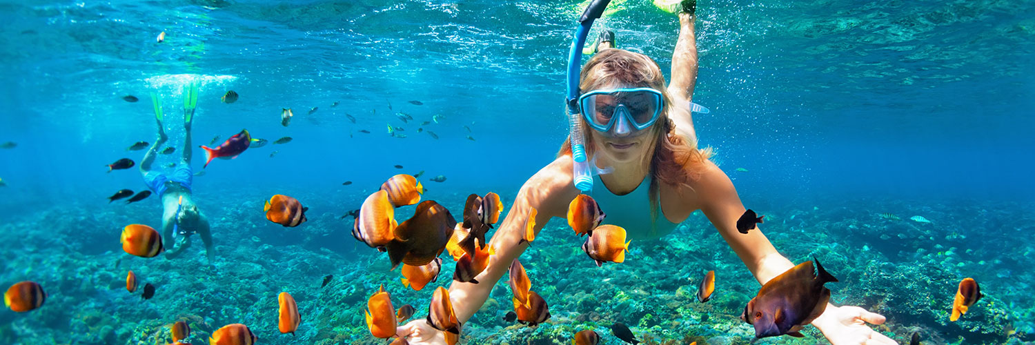 slider#4 Snorkeling Kauai