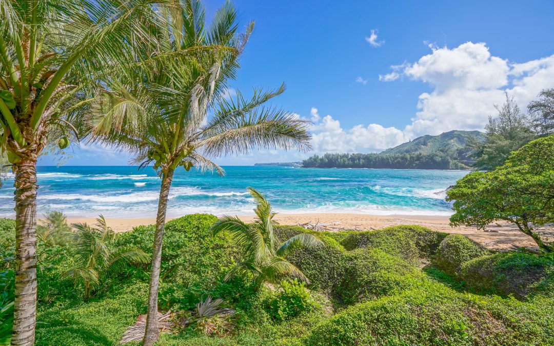 Kauai Covid-19 Update