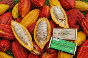 Kauai Chocolate Farm Tours