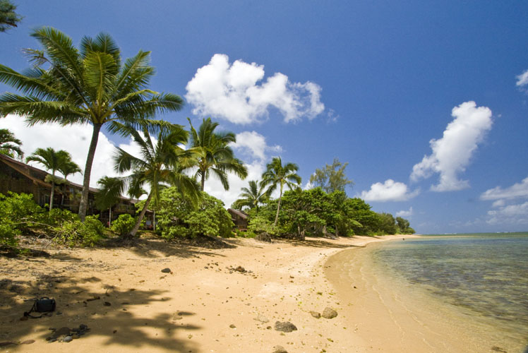 Getting Married on Kauai?