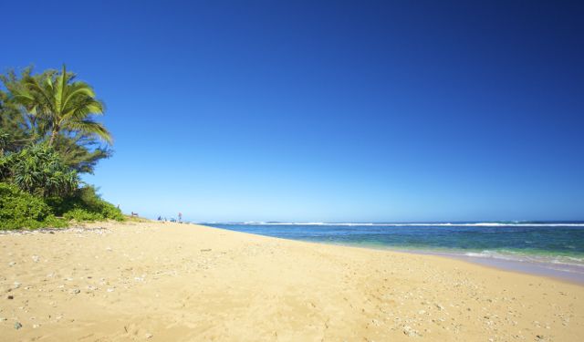 Haena Kai Kauai vacation rental