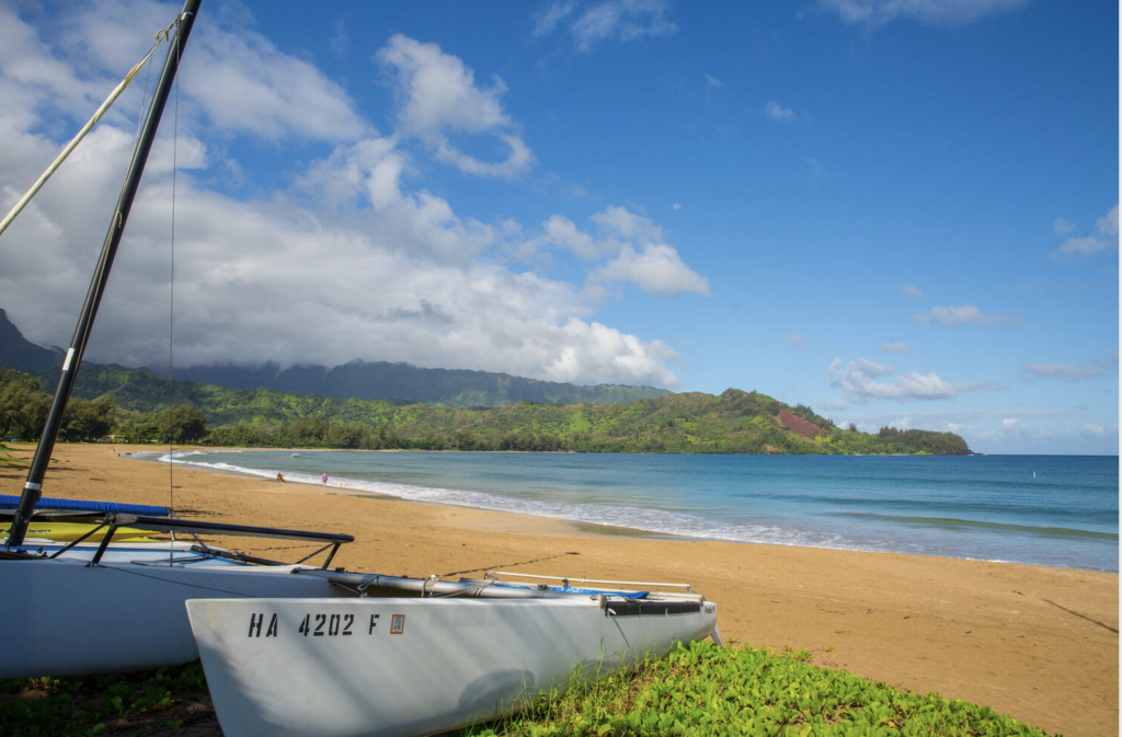 Bay View Cottage Hanalei vacation rental