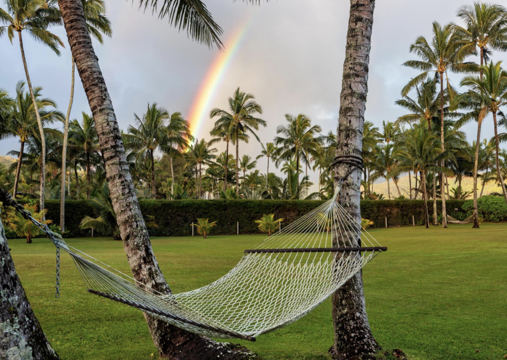 Hanalei Red House hammock and yard view