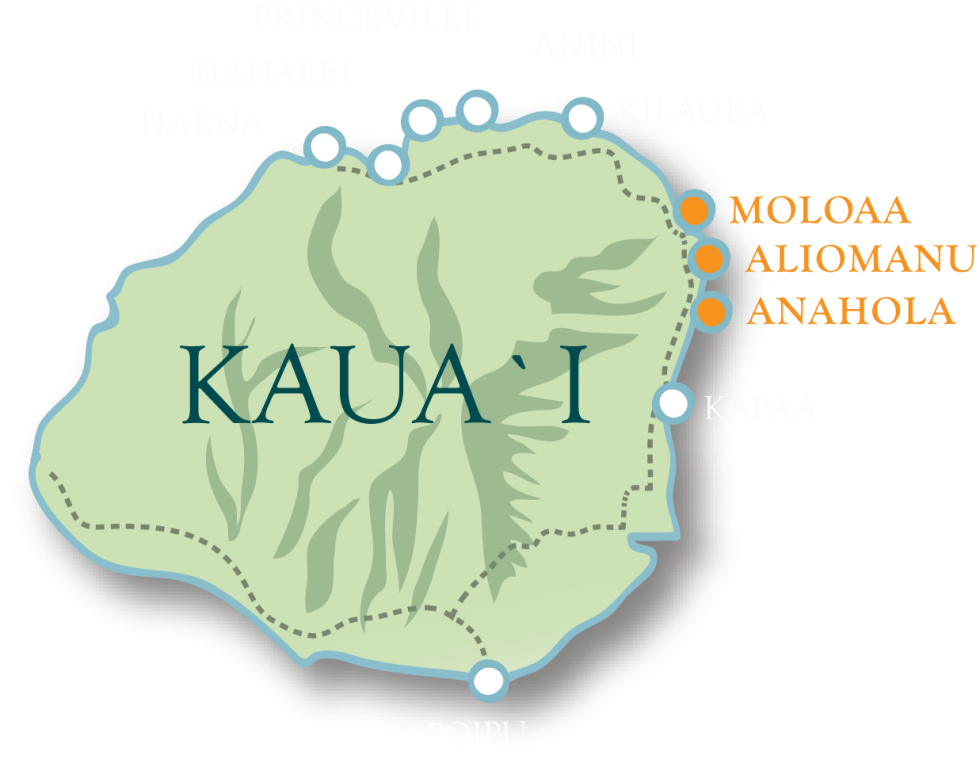 Aliomanu & Anahola Jean & Abbott Properties