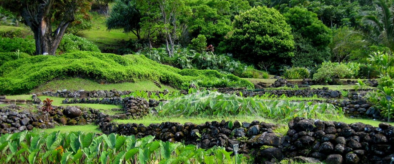 Luxury Vacation Rentals Jean & Abbott Properties