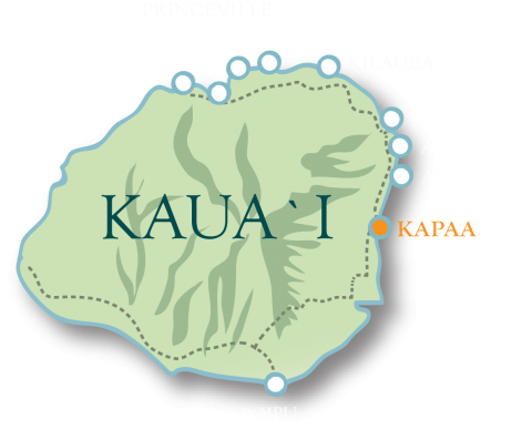 Kapaa Map 480x388 