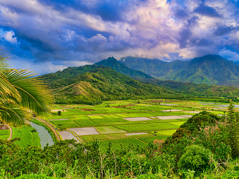 Why we Fall in Love With Hanalei