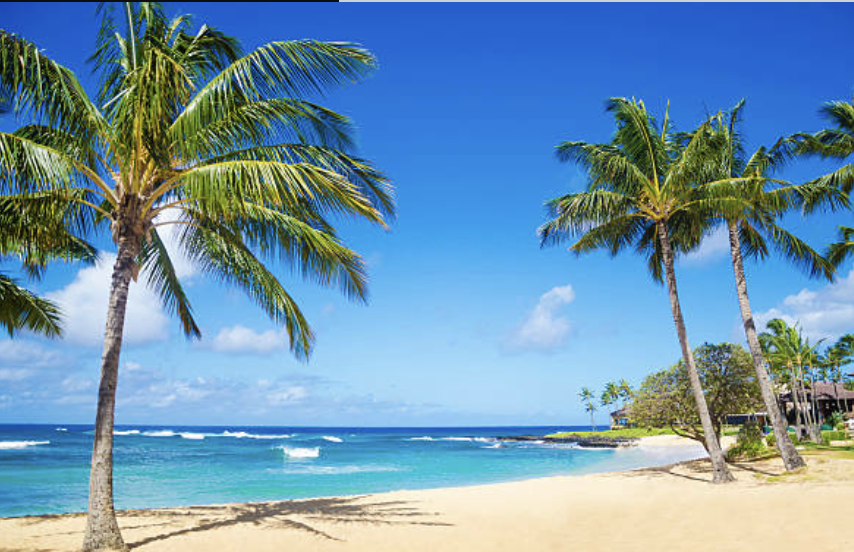 🏖️Your Guide to Poipu Beach: Surfing, Snorkeling & Family Fun on Kauai